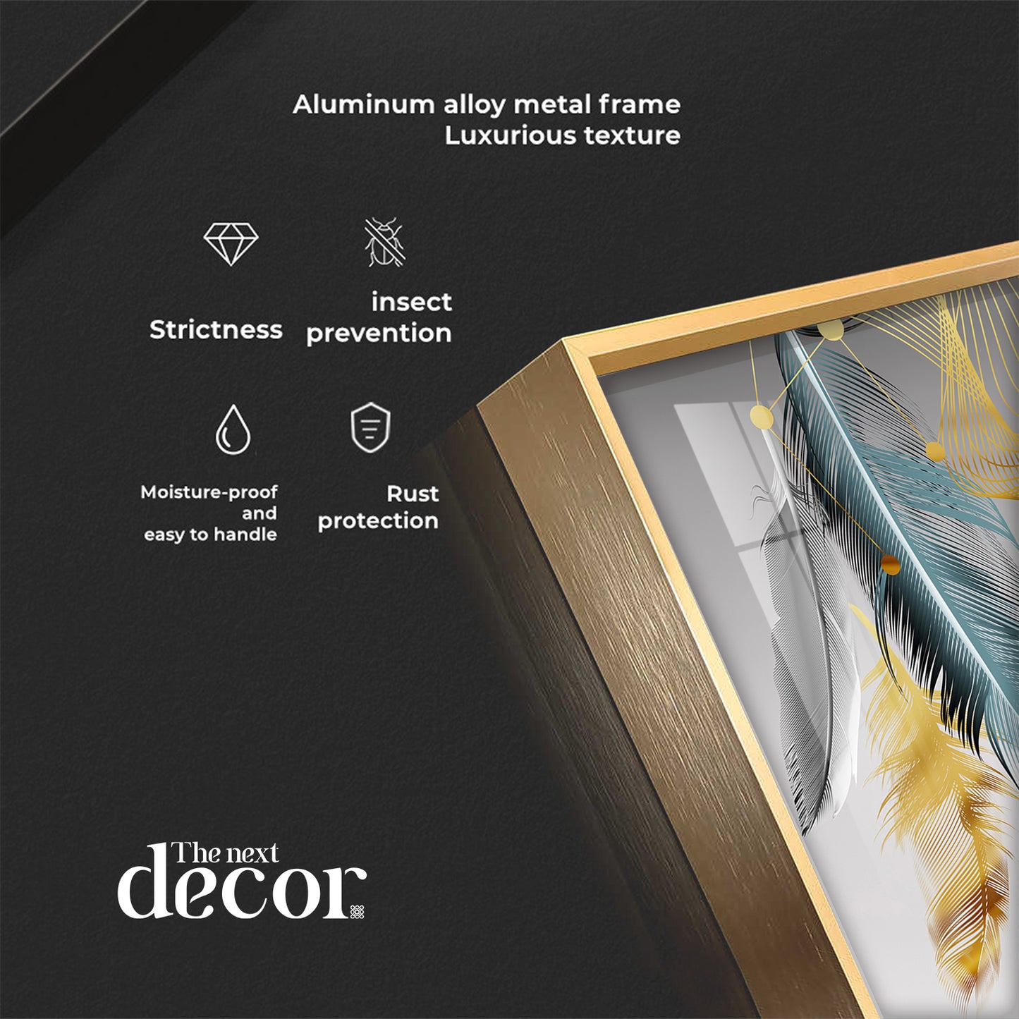 Rare Black Feather Premium Acrylic Wall Art (Set of 3)