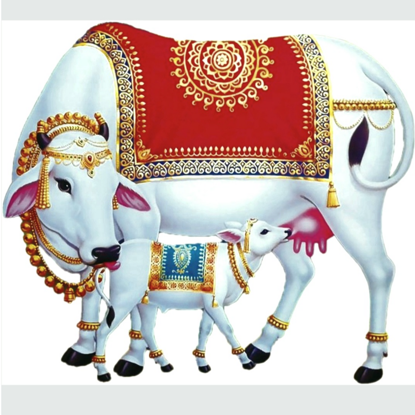 Customized Acrylic | 3mm | 24x24