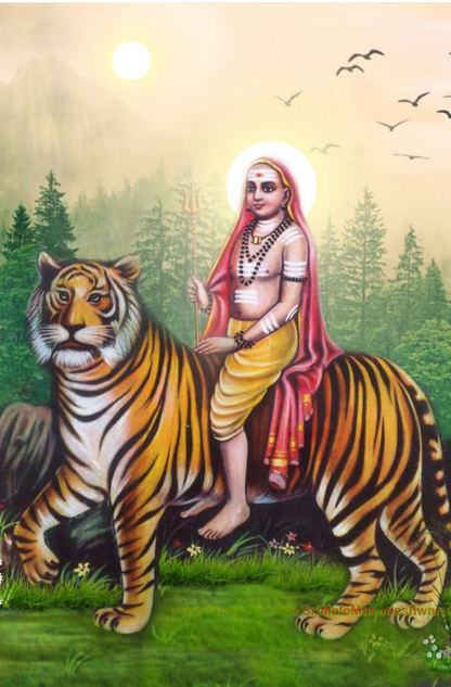 Customized Acrylic | 3mm | 11.5x17.5