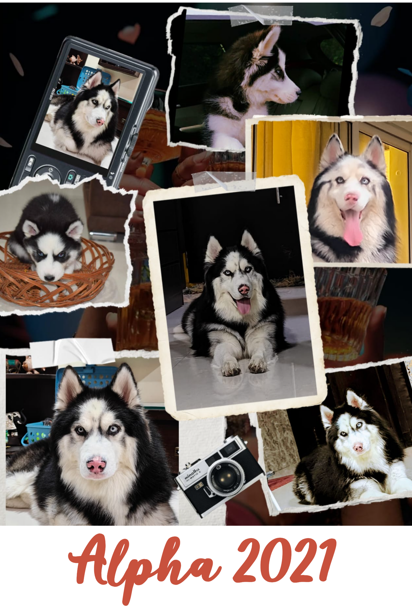 Customized Acrylic | 3mm | 20x29.5