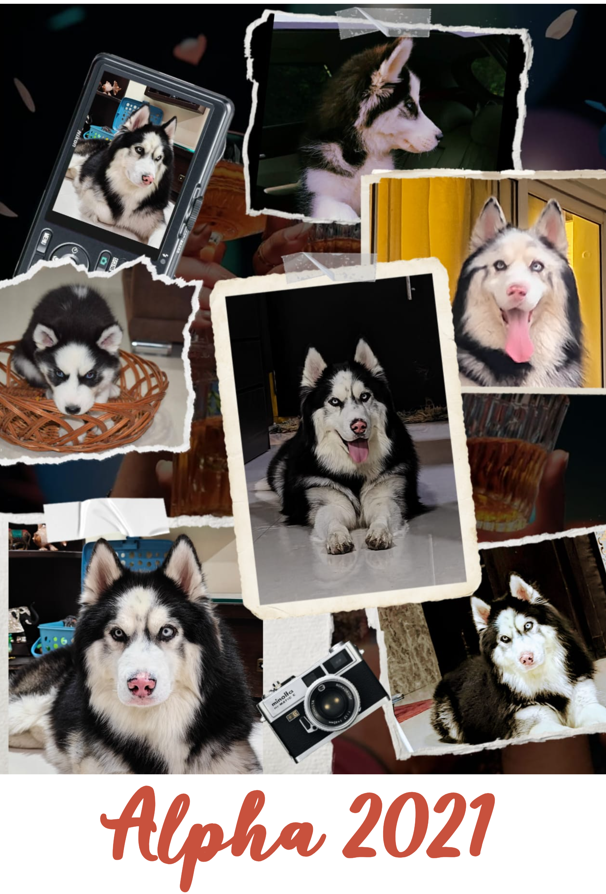 Customized Acrylic | 3mm | 20x29.5