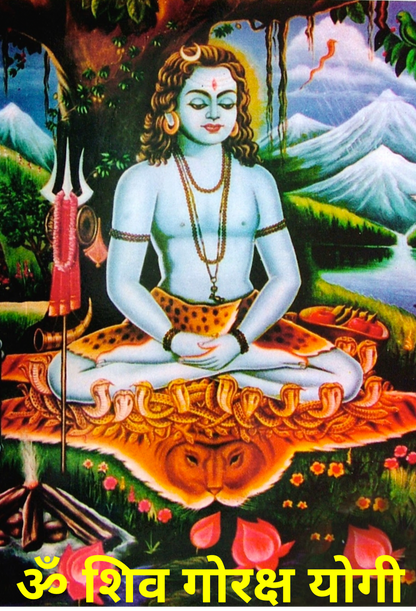 Customized Acrylic | 3mm | 16x23.5