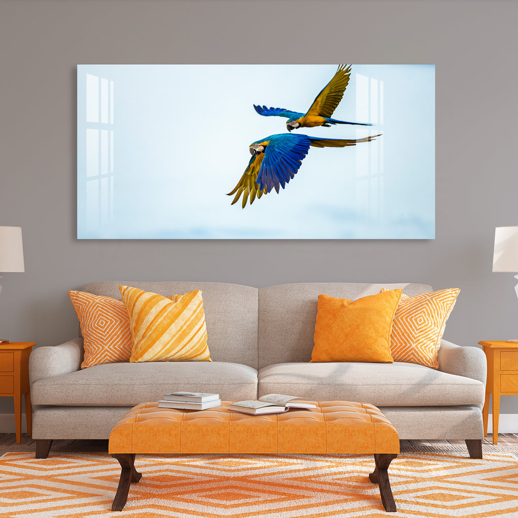 Macaw Parrot Acrylic Wal Art