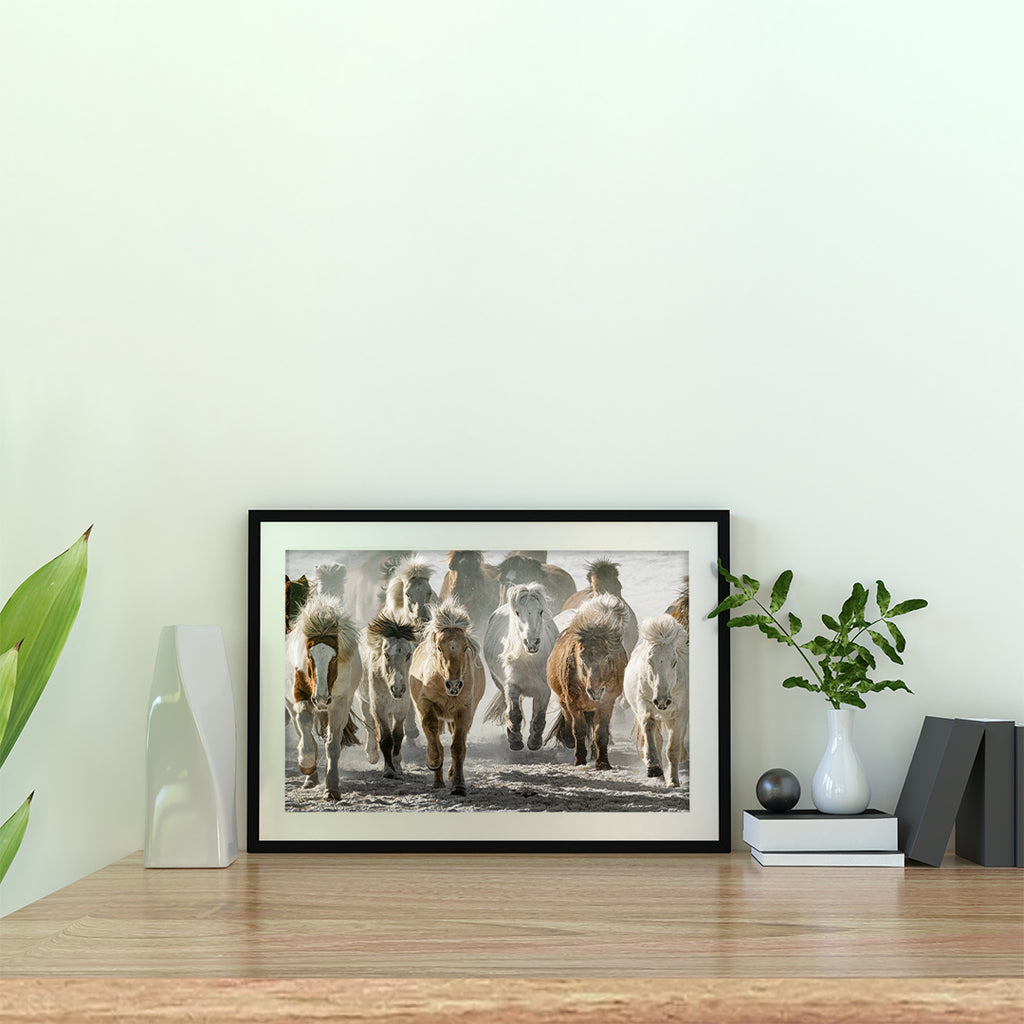 Mad Horses Canvas Wall Art Without Glass