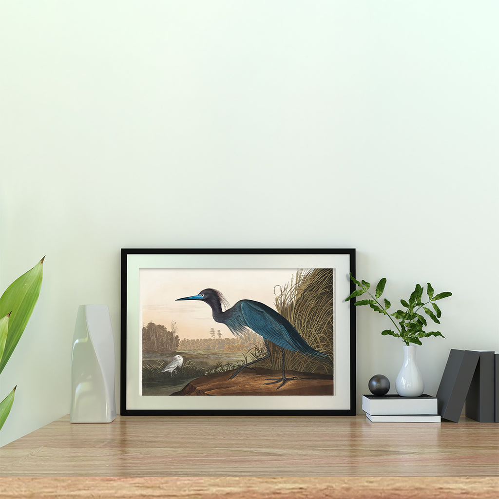 Heron From Birds of America (1827) Canvas Wall Art Without Glass