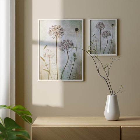 Allium Canvas Wall Art Without Glass