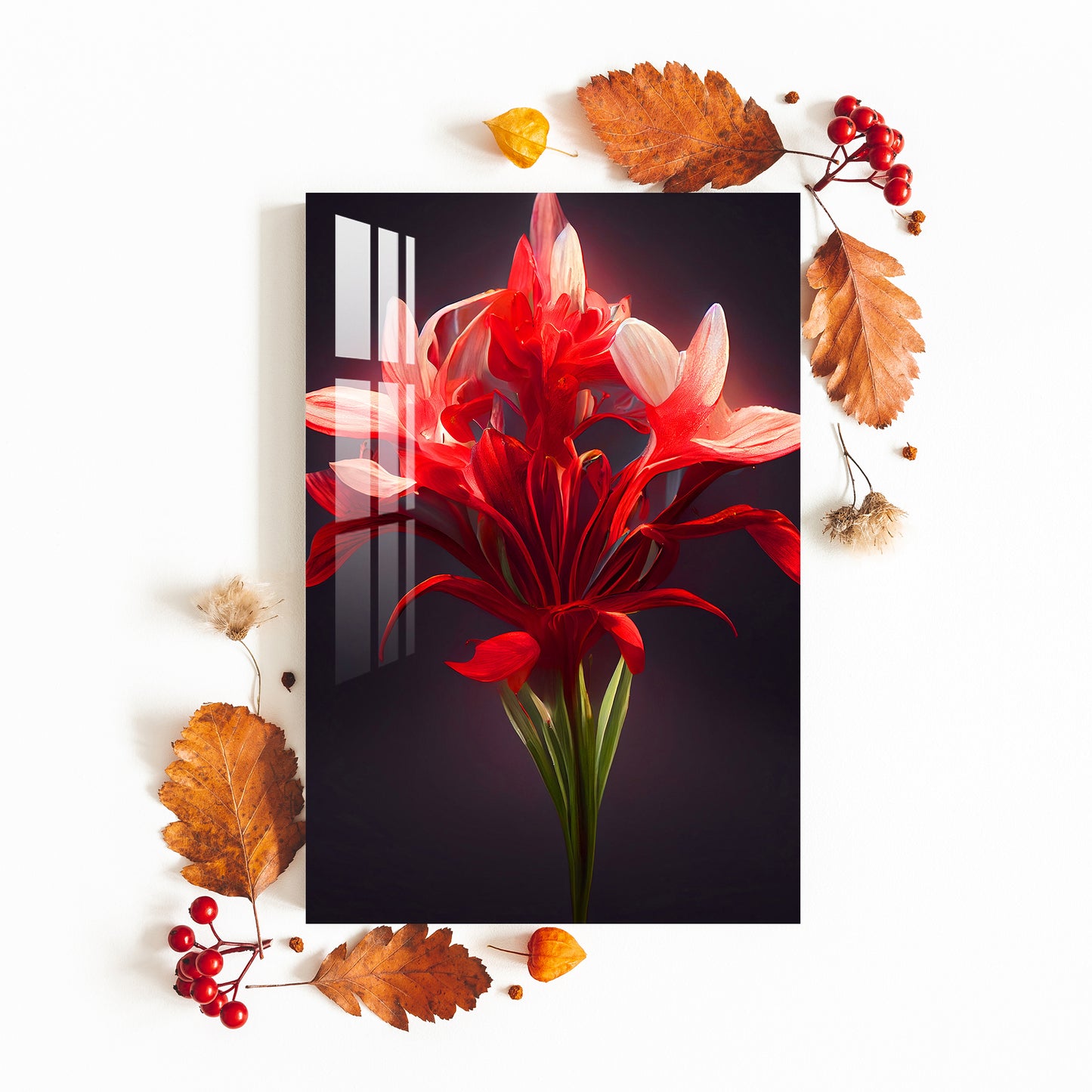 Red African Lily Acrylic Wall Art